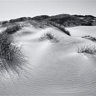 ::: Nordsee | Dünen :::