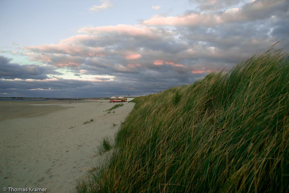 Nordsee- Dünen