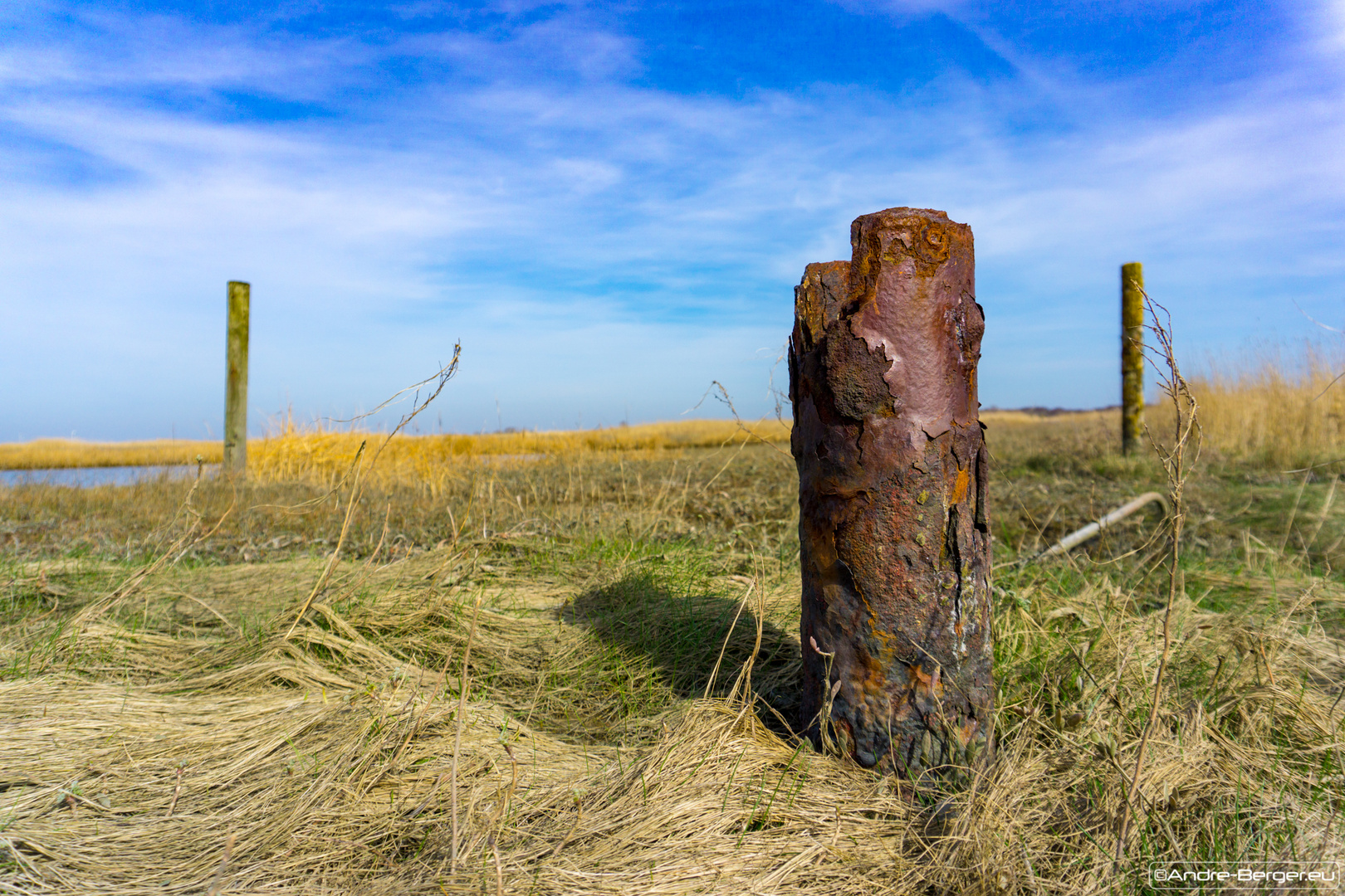 Nordsee Dünen