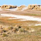 NORDSEE: Dünenlandschaft bei Schillig