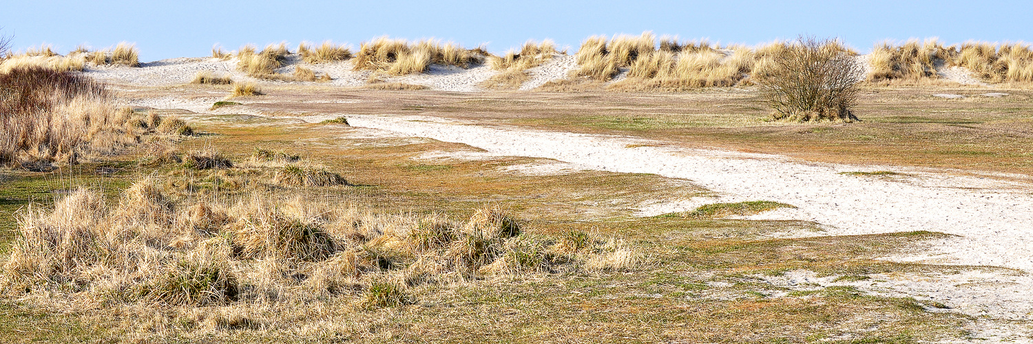 NORDSEE: Dünenlandschaft bei Schillig