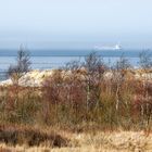 NORDSEE: Dünenlandschaft bei Schillig