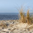 NORDSEE: Dünenlandschaft bei Schillig