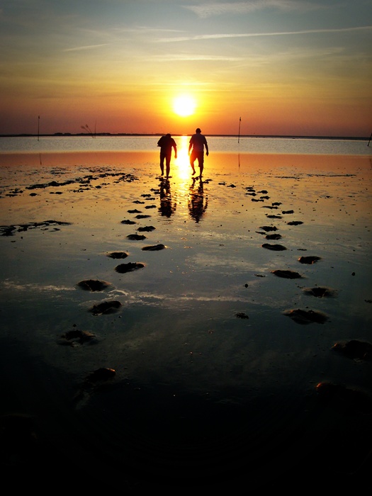 Nordsee Ebbe