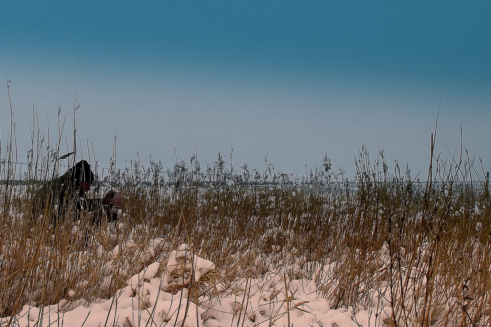 Nordsee Februar 2012