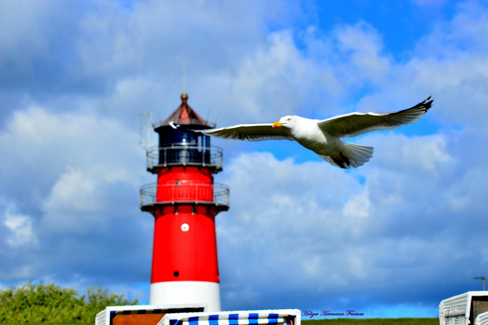 Nordsee Feeling Möve am Leuchtturm in Büsum