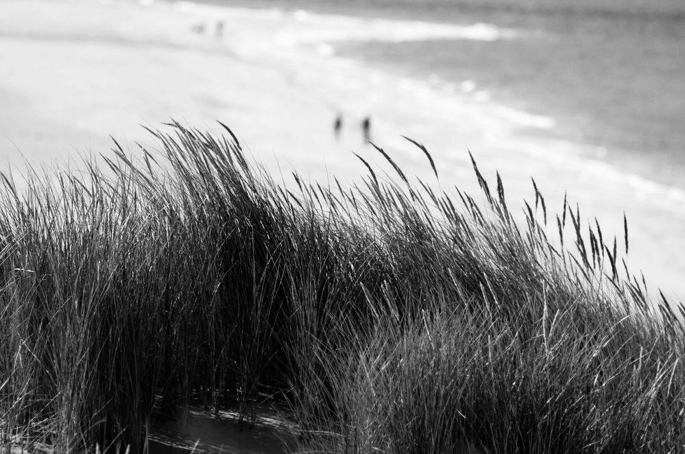 Nordsee Galerie - Schwarz-weiß Impressionen