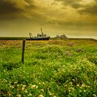 Nordsee Halligen