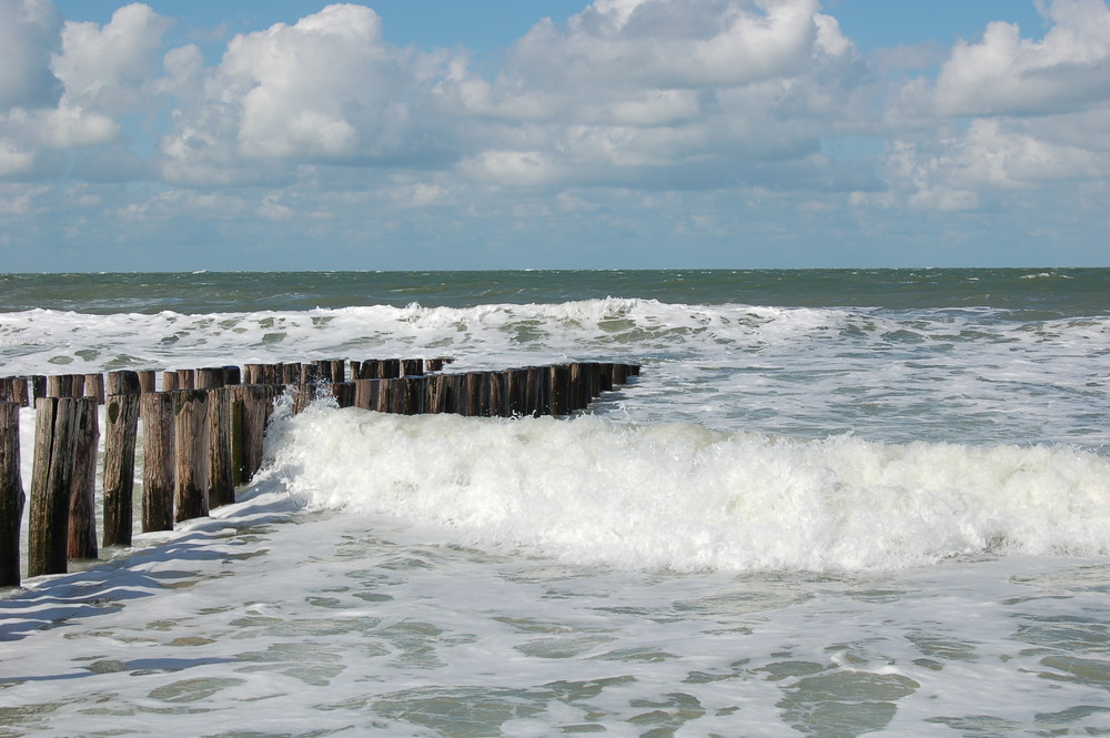 Nordsee - Holland