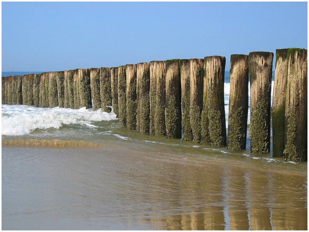 Nordsee, Holland, im Frühjahr 2012