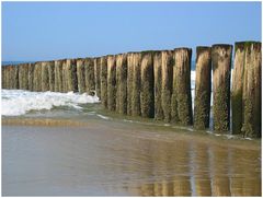 Nordsee, Holland, im Frühjahr 2012