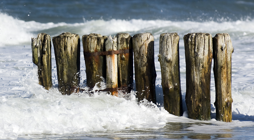 Nordsee-Holz