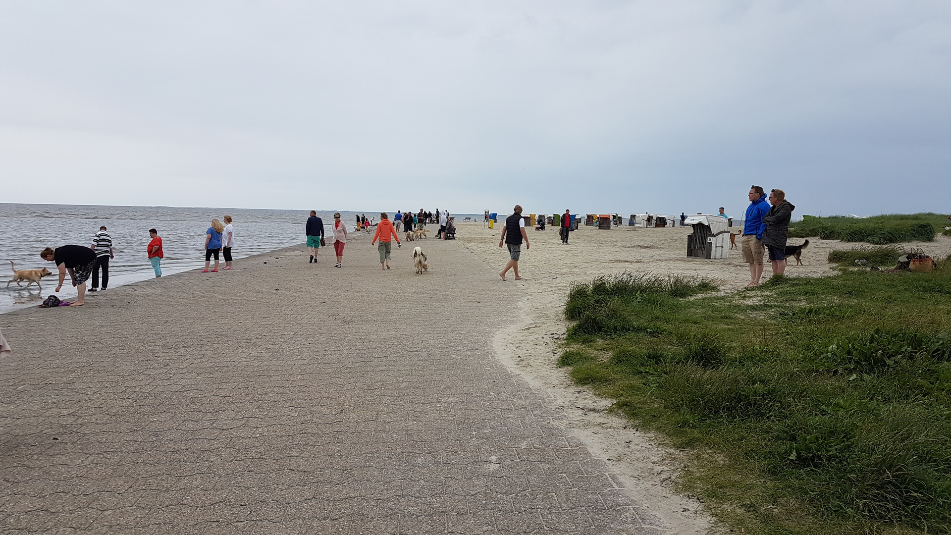 Nordsee / Hundestrand