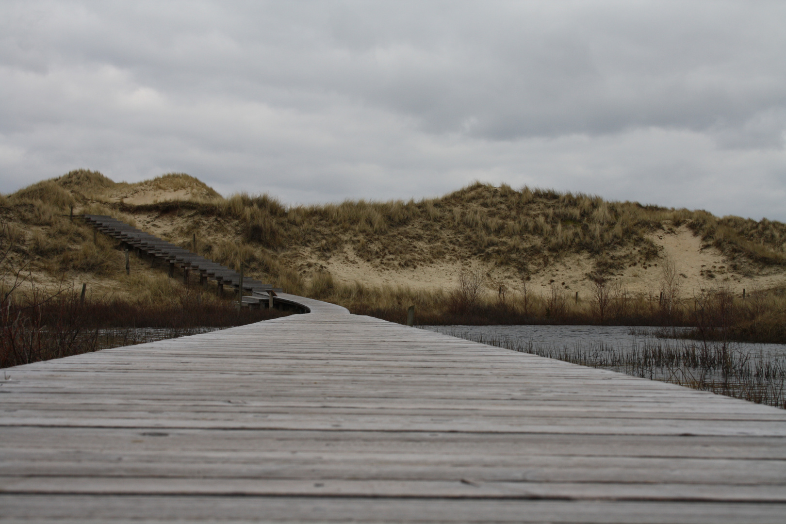 Nordsee im Frühjahr