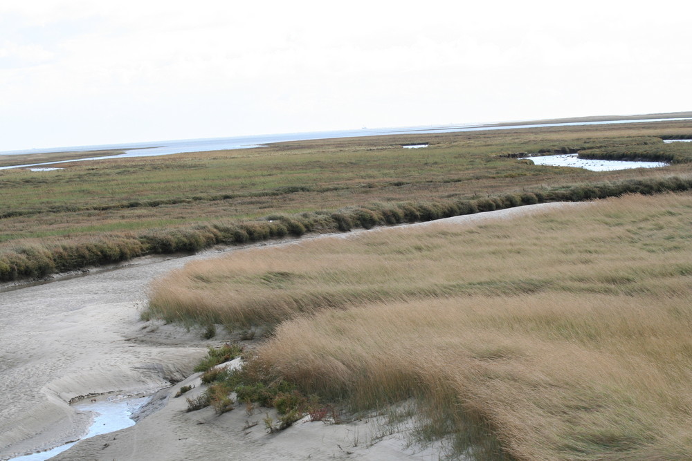 Nordsee im Herbst