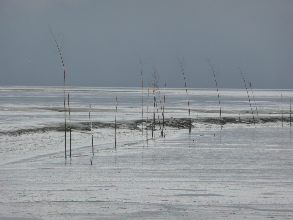 Nordsee im Rückzug