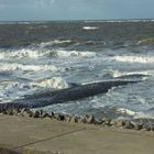 Nordsee im Winter/Baltrum