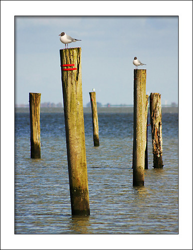 Nordsee-Impression