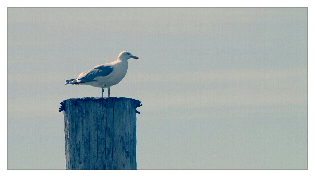 Nordsee Impression