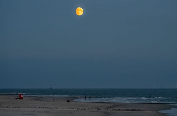 Nordsee Impression - Blaue Stunde