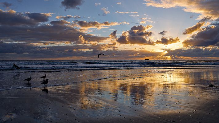 Nordsee Impression - Spiegelung
