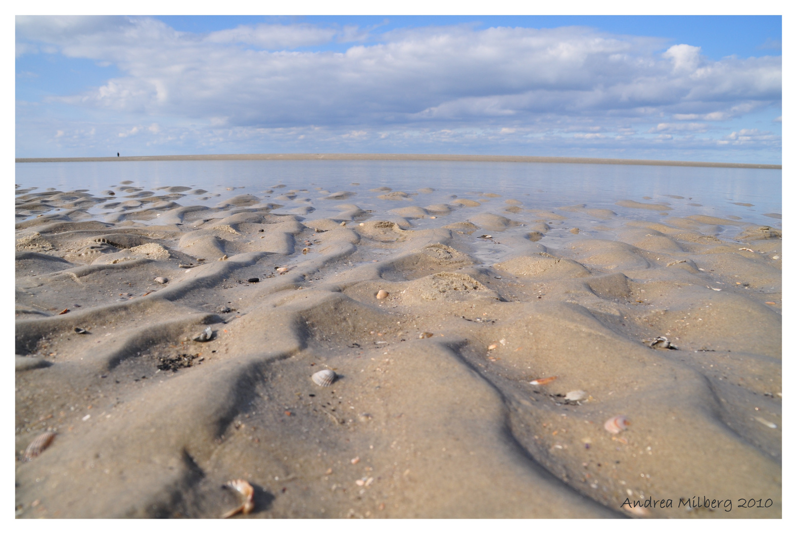 Nordsee- impression - Strand & Meer