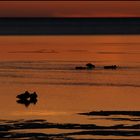 ~ Nordsee Impressionen 2 ~