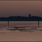 ~ Nordsee Impressionen 4 ~