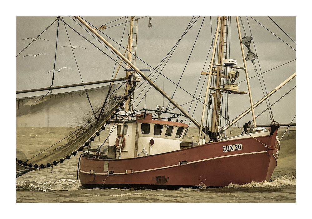 *** Nordsee - Impressionen *** 