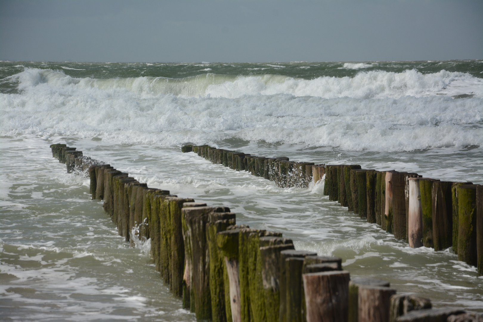 Nordsee in Bewegung