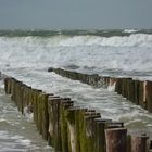 Nordsee in Bewegung