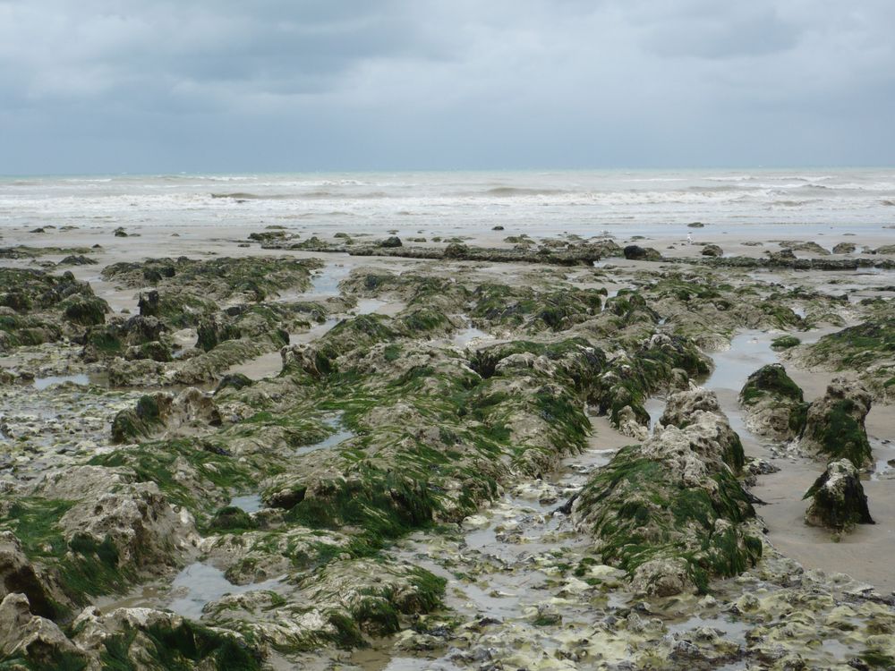 Nordsee in Nordfrankreich