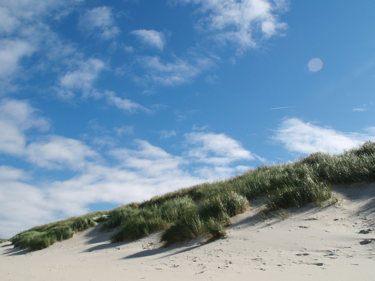 Nordsee Insel Baltrum