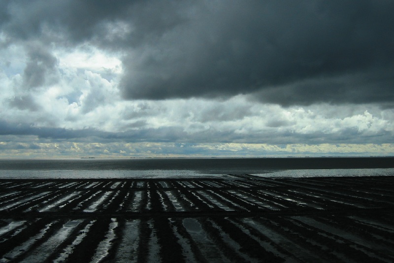 Nordsee ist Mordsee