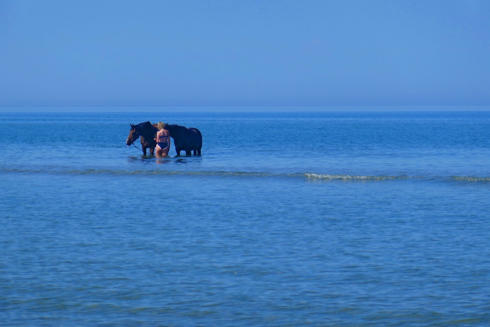 Nordsee Juli 2018 002