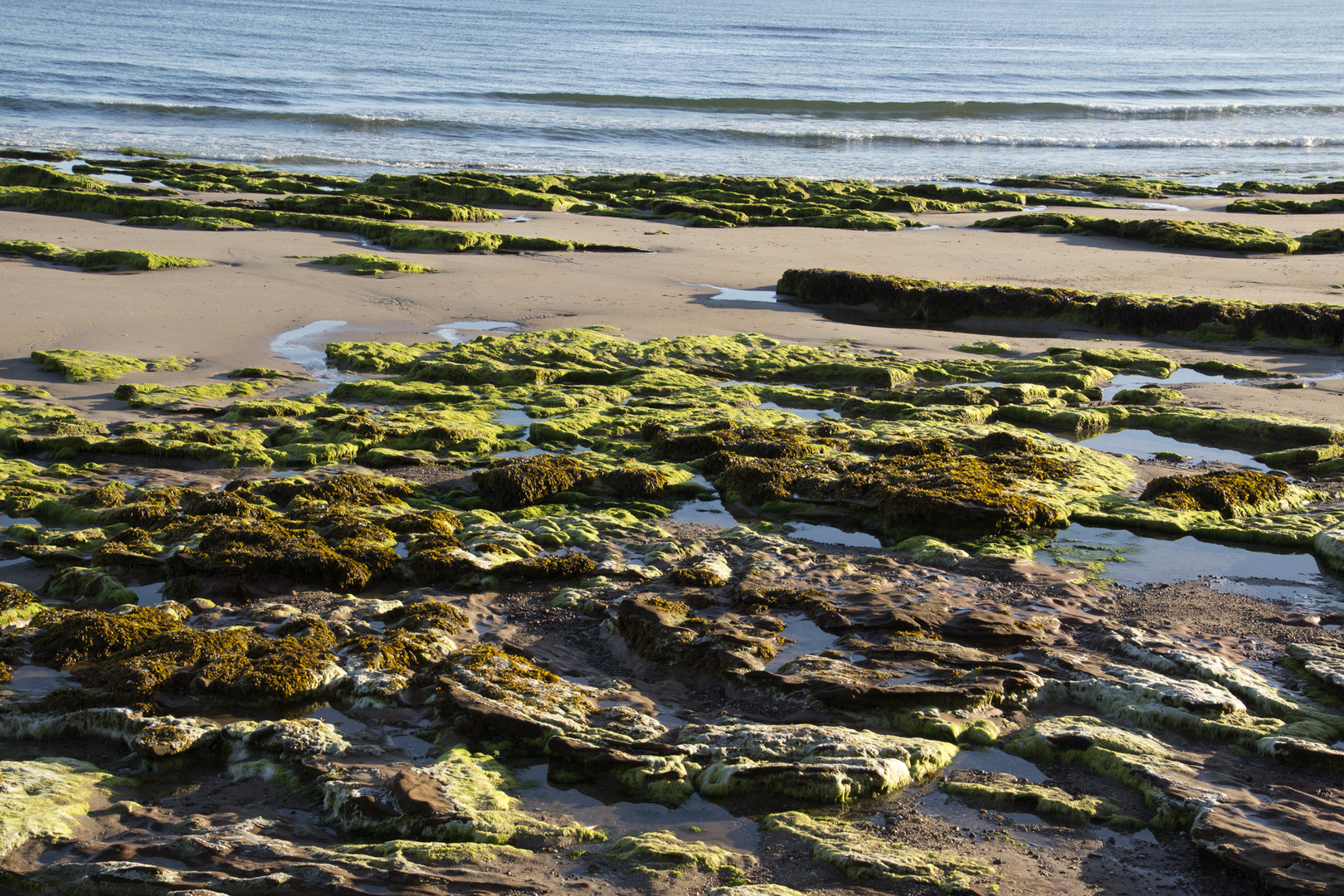 Nordsee Küste  Nairn  Scottland