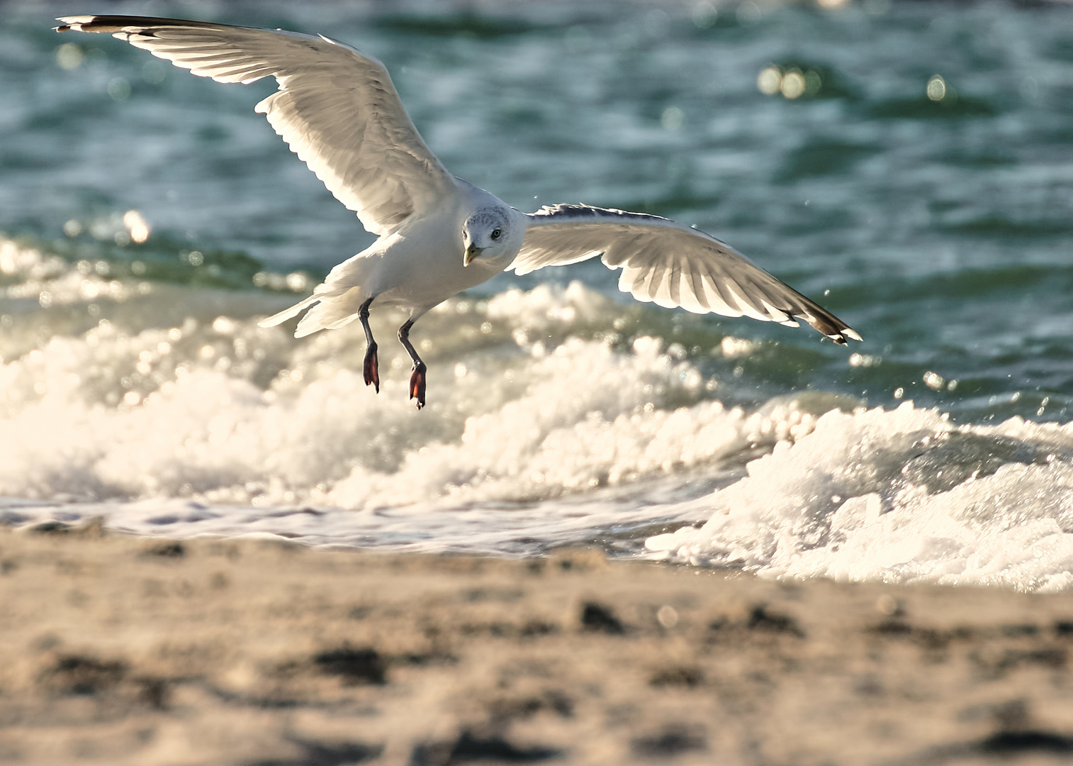 Nordsee - Landeanflug