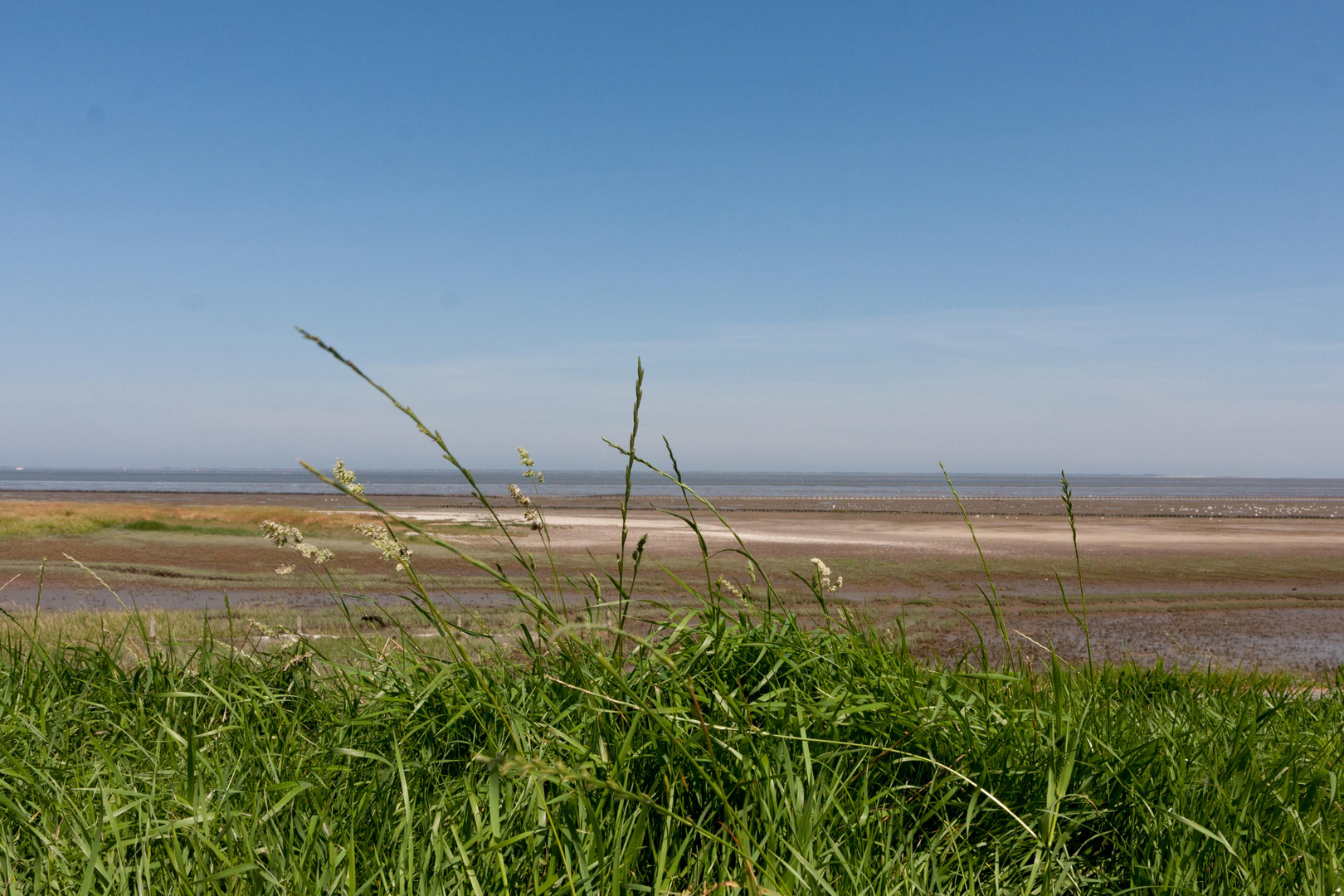 nordsee - Landschaft pur