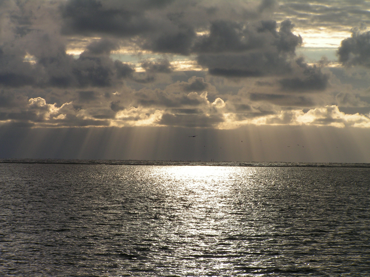 Nordsee Langeoog Sommer 2010_3048