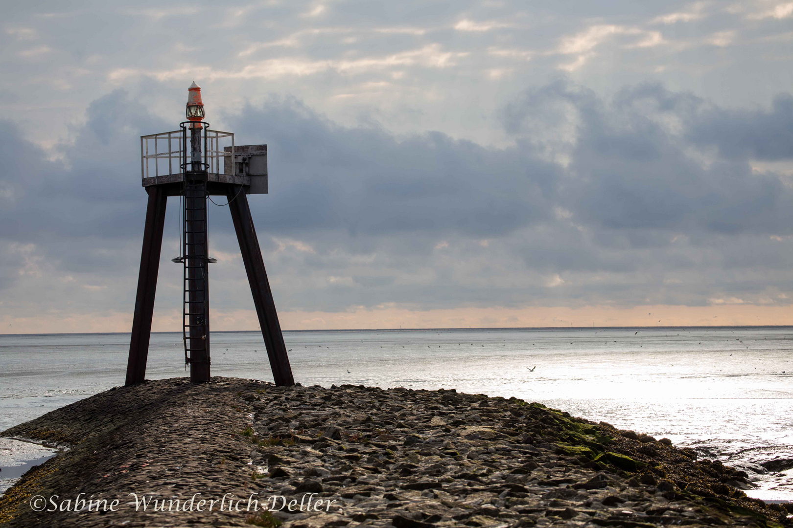 Nordsee Leuchtfeuer Friedrichskoog