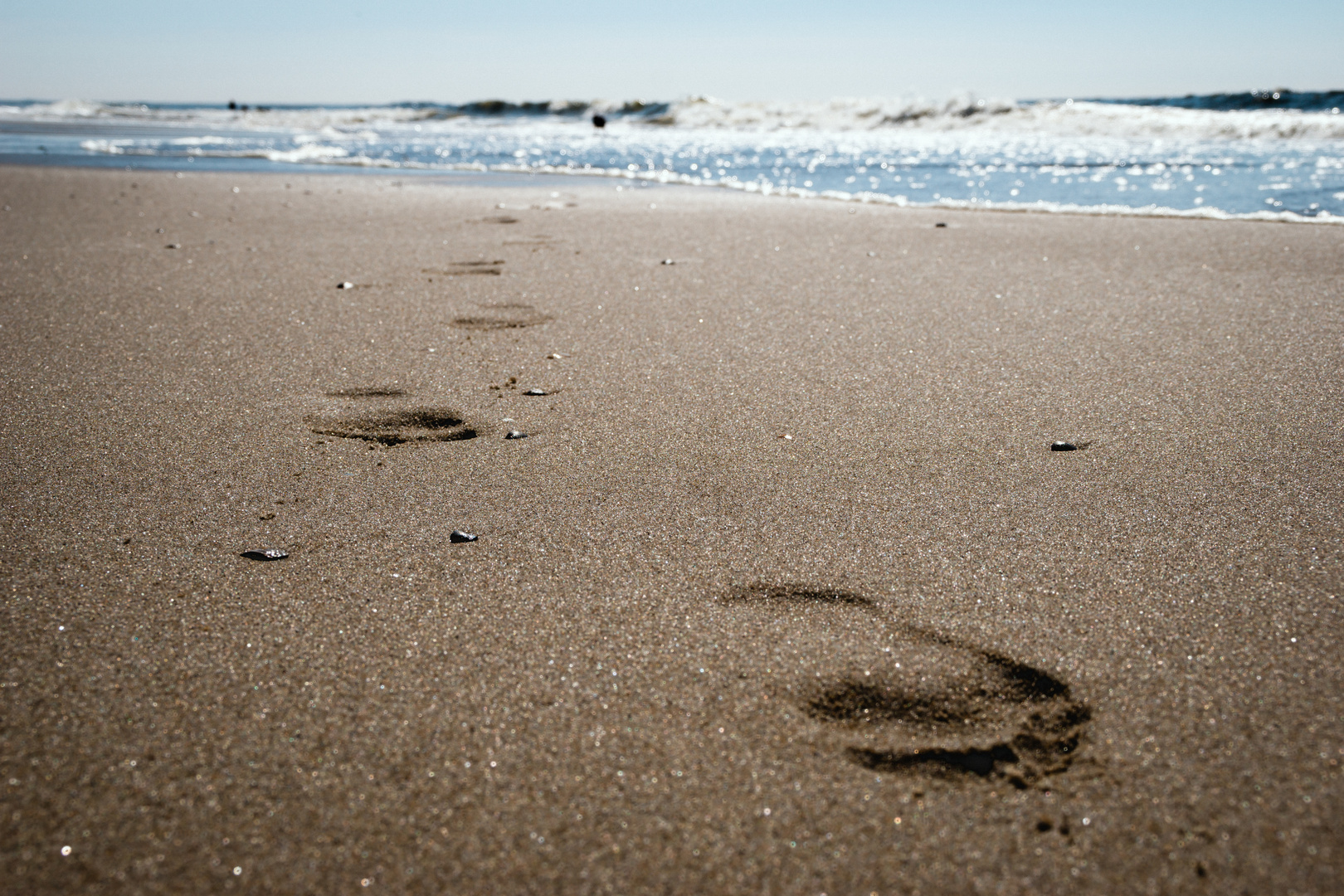 Nordsee / Niederlande