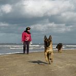 Nordsee Nr. 17: Achtung, ich komme