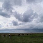 Nordsee oder Elbe Wolken