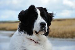 Nordsee-Portraits