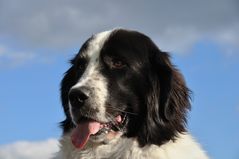 Nordsee-Portraits