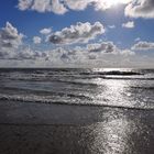 Nordsee pur