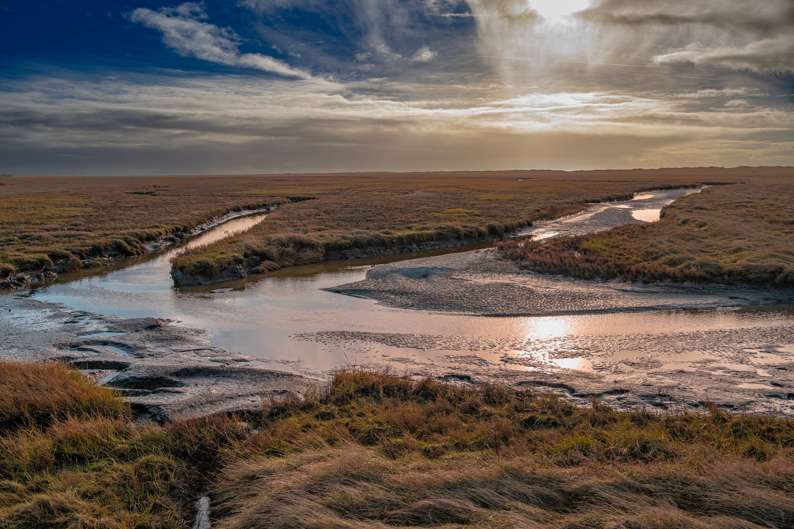 Nordsee Salzwiesen