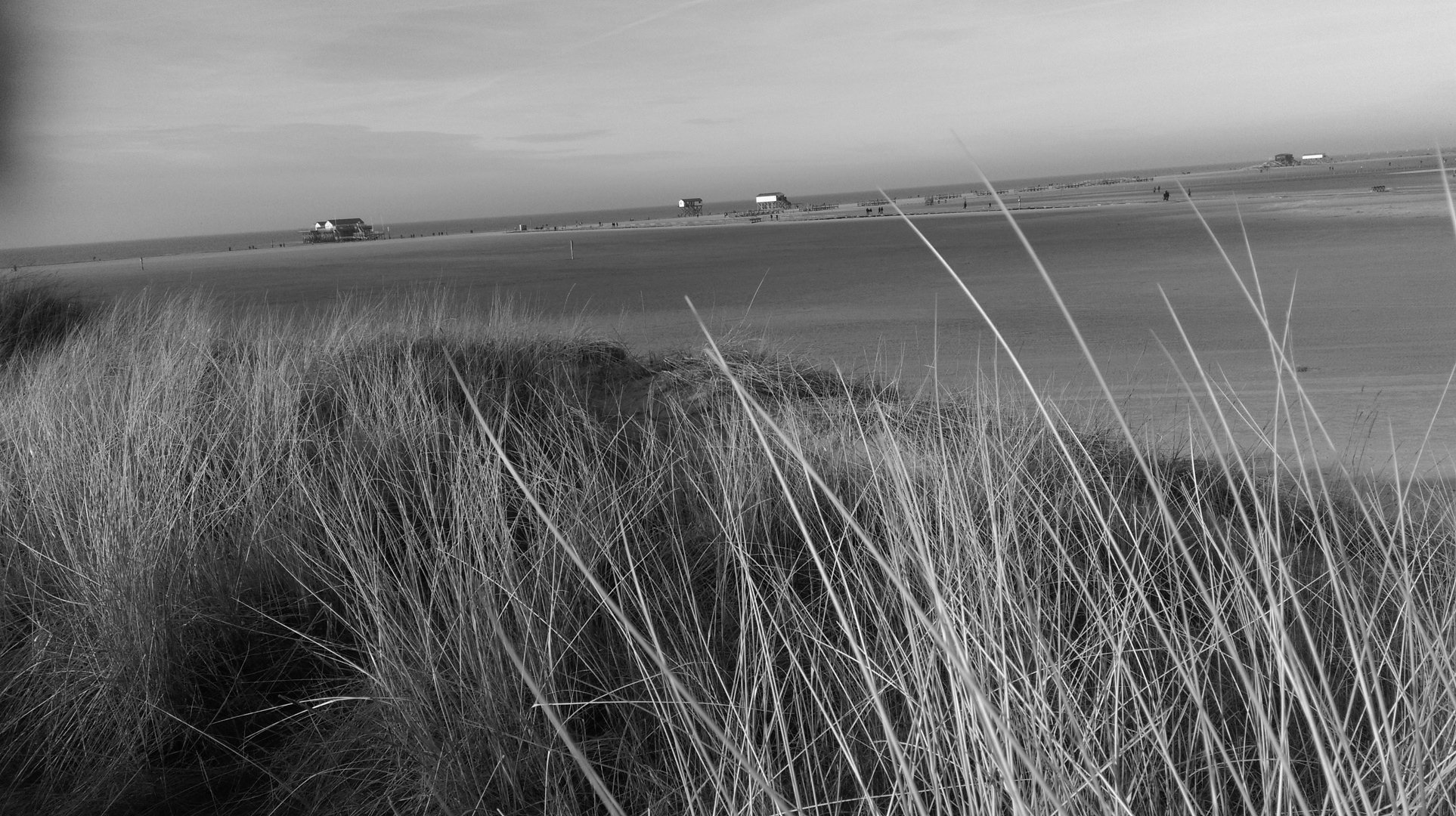 Nordsee Sankt Peter Ording 