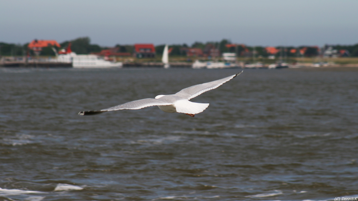 Nordsee Stimmung