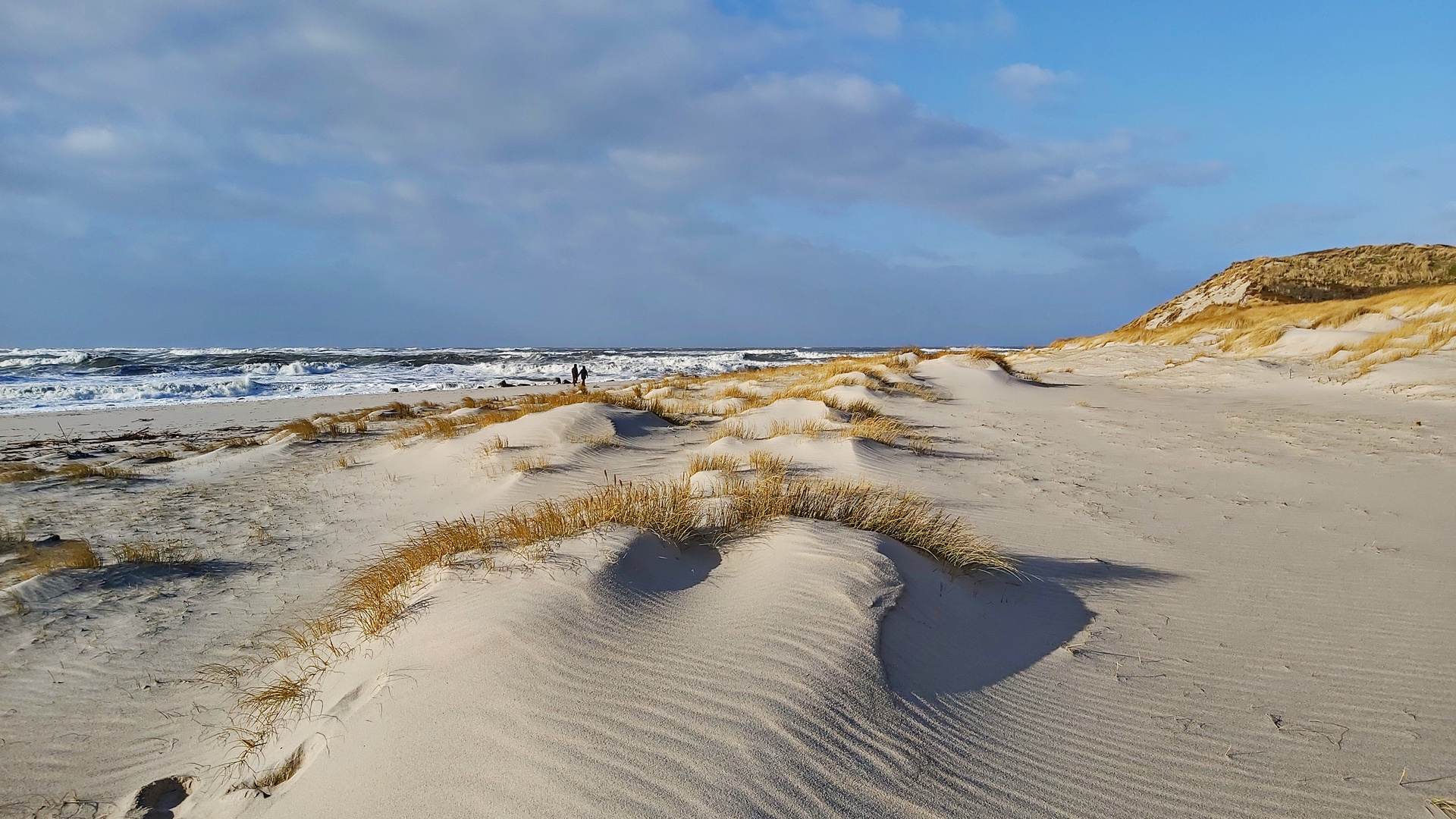 Nordsee-Strand